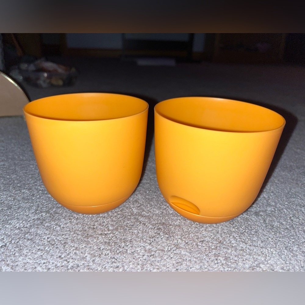 PLANTERS